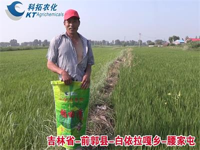 1-白依拉嘎鄉(xiāng)-腰家屯-稻田清