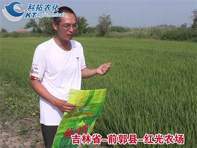 2-前郭縣-紅光農(nóng)場-稻田清
