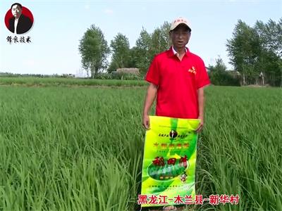 黑龍江-木蘭縣-新華村.mp4