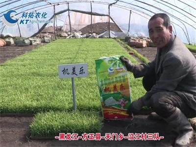 方正縣-天門鄉(xiāng)-沿江村三隊-02