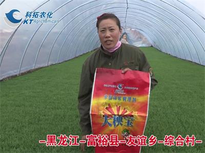 黑龍江-富?？h-友誼鄉(xiāng)-綜合村