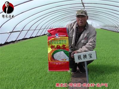 呼蘭區(qū)-民主村-達(dá)戶屯