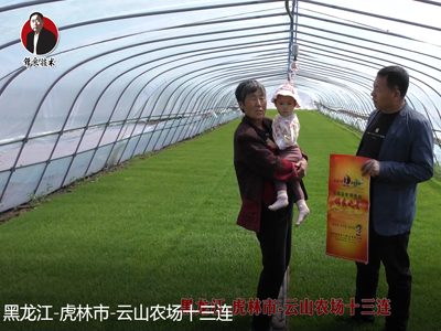 黑龍江-虎林市-云山農(nóng)場(chǎng)十三連