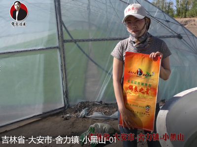 吉林省-大安市-舍力鎮(zhèn)-小黑山-01