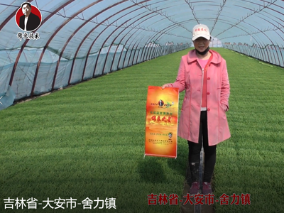 吉林省-大安市-舍力鎮(zhèn)