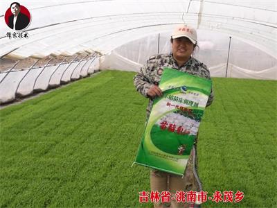 吉林省-洮南市-永茂鄉(xiāng)