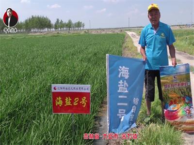 吉林省-大安市-舍力鎮(zhèn)