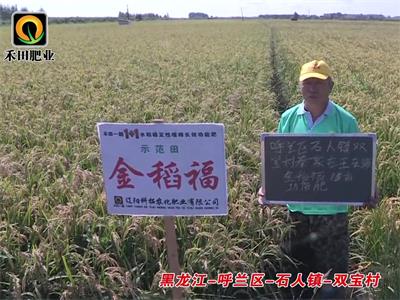 黑龍江-呼蘭區(qū)-石人鎮(zhèn)-雙寶村