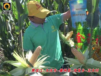 黑龍江-大慶市-肇州縣-雙發(fā)鄉(xiāng)-正大村
