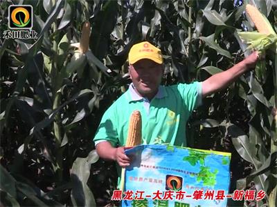 黑龍江-大慶市-肇州縣-新福鄉(xiāng)