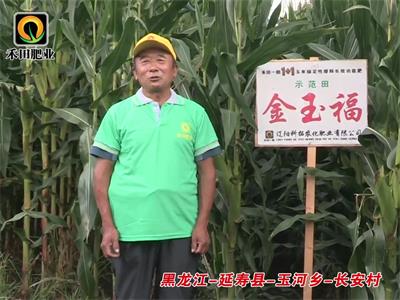 黑龍江-延壽縣-玉河鄉(xiāng)-長(zhǎng)安村-02