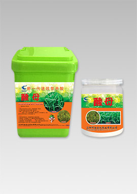 酸母-新一代速效營(yíng)養(yǎng)酸母
